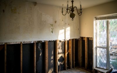 Water Damage Restoration vs. Water Mitigation: What’s the Difference and Why Timely Petaluma Services Matter